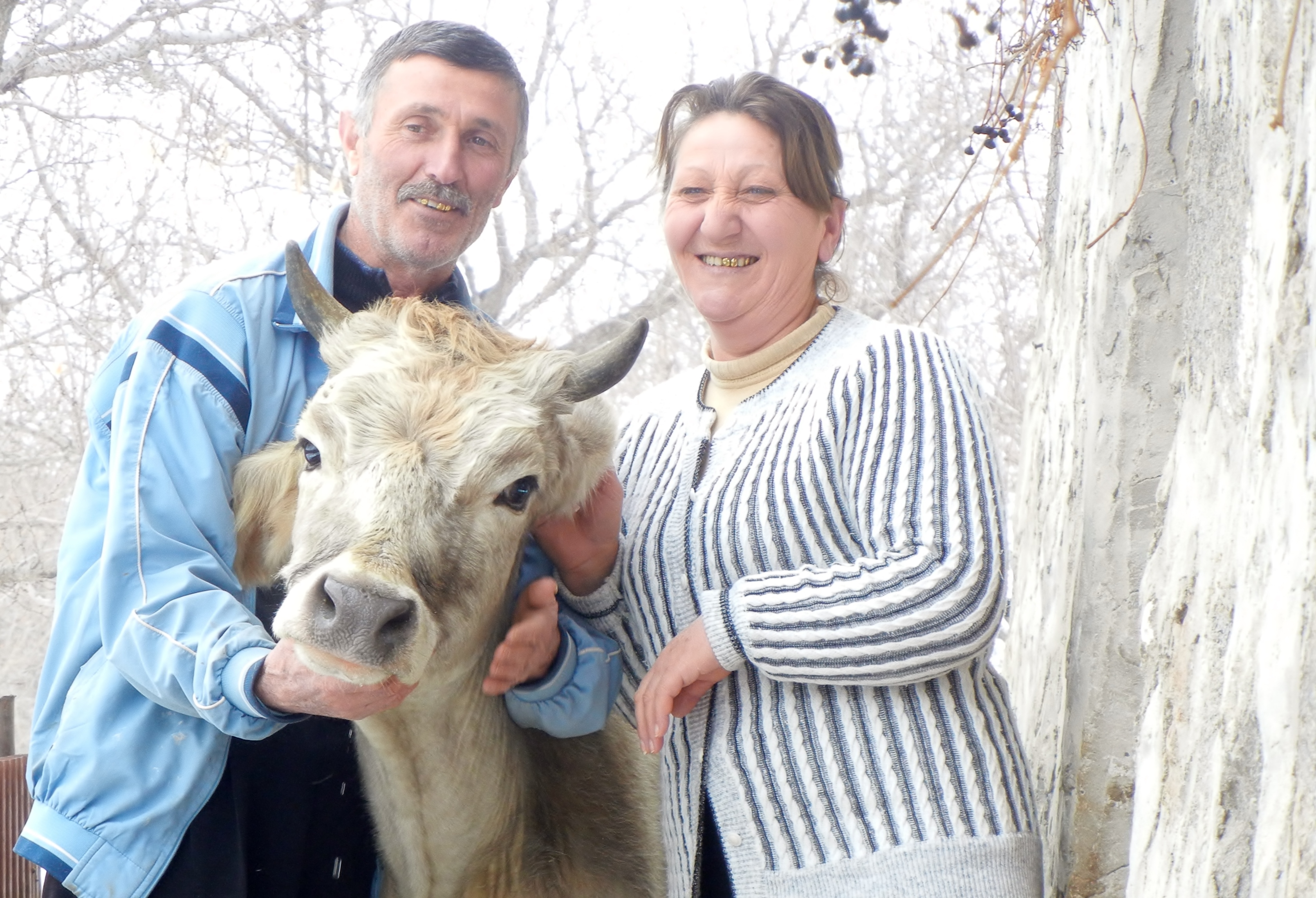 Stable Income to Families with Heifer Project International Armenia